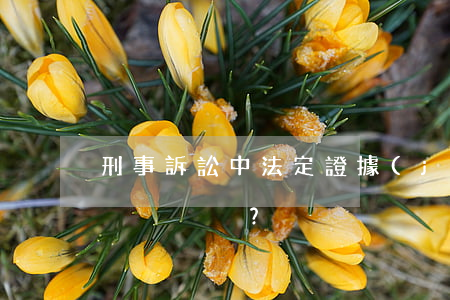 刑事訴訟中法定證據(jù)材料如何認定？
